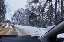 выкса.рф, Аварийное дерево